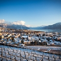 Fin de journée dans le Lavaux - 008